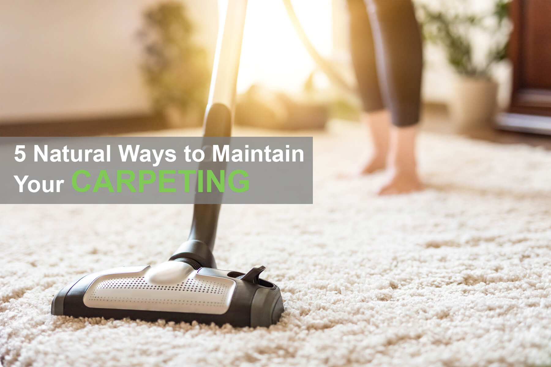 5 Natural Ways To Maintain Your Carpeting